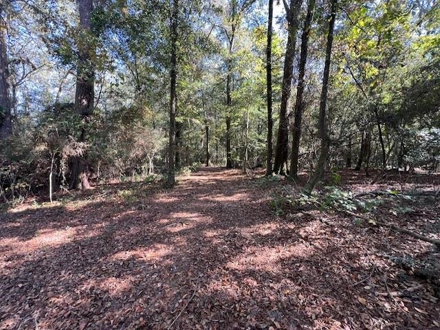 21.24-ac Union Grove Road Opp, AL 36467 - Photo 8 of 38 Gallery Image 8