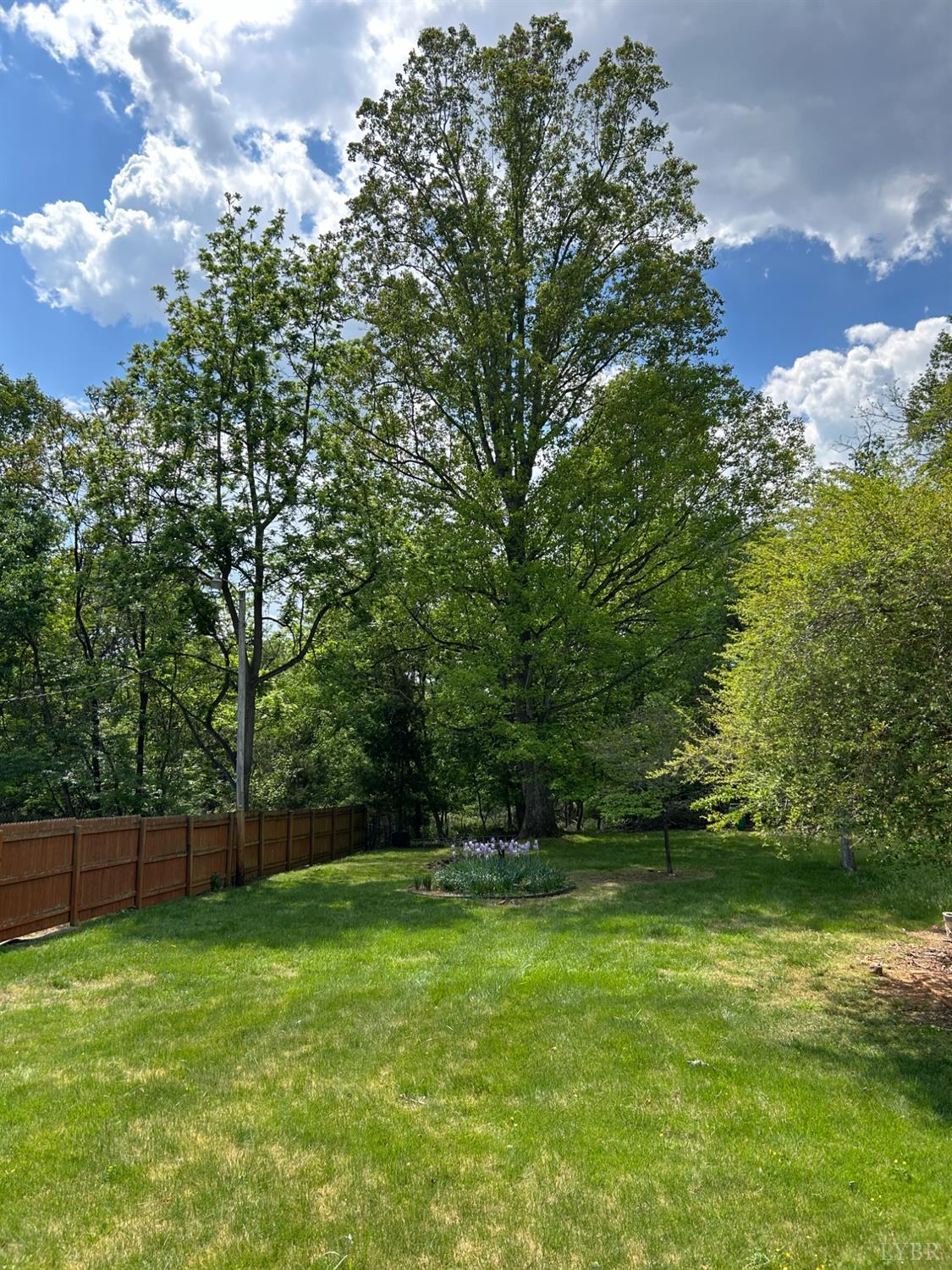 1153 Stratford Road Lynchburg, VA 24502 - Photo 19 of 24 Nice Level Backyard