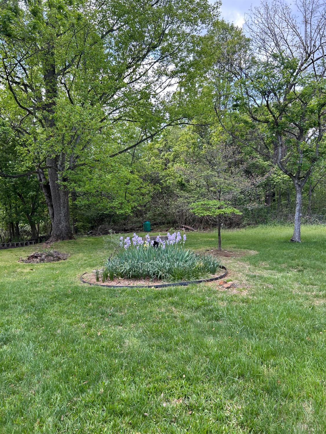 1153 Stratford Road Lynchburg, VA 24502 - Photo 23 of 24 Garden Area