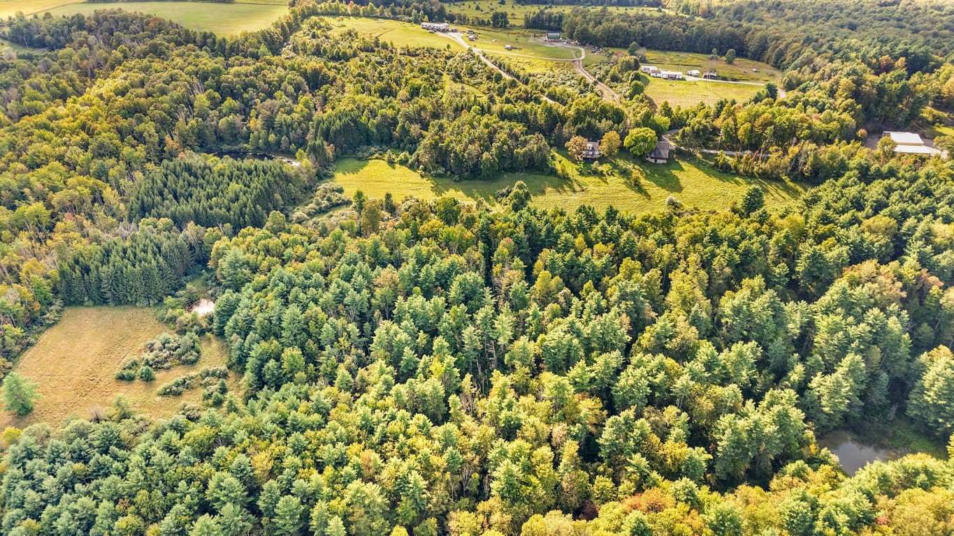 416 Mc Coy Road Nichols, NY 13812 - Photo 11 of 43