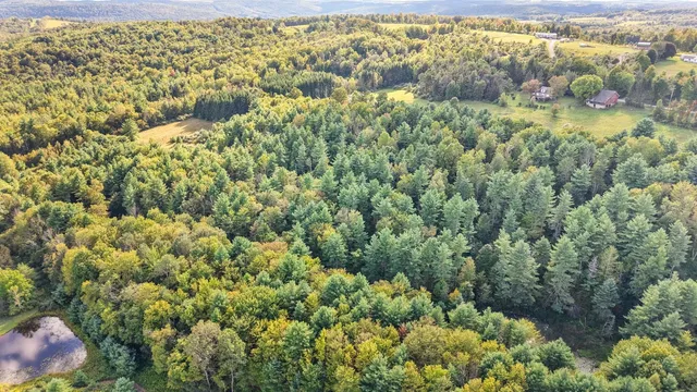 $425,000 | 416 Mc Coy Road, Nichols, NY 13812