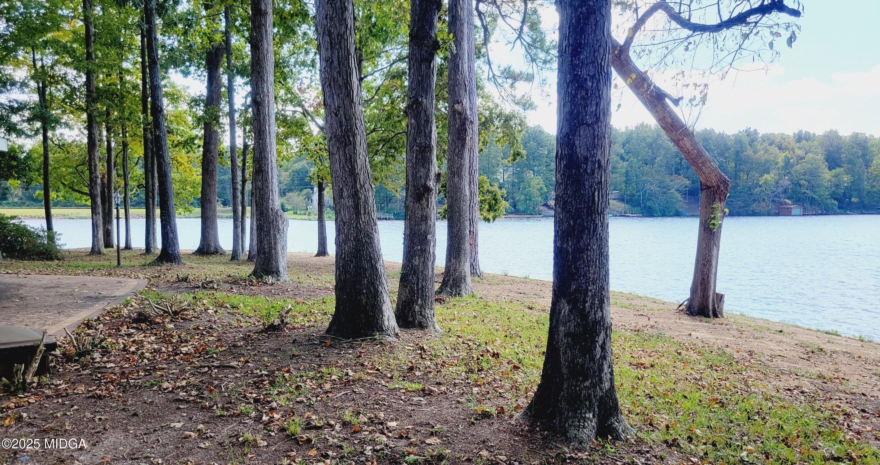 900 South Plantation Parkway Macon, GA 31220 - Photo 37 of 61 a view of a backyard with large trees and wooden fence