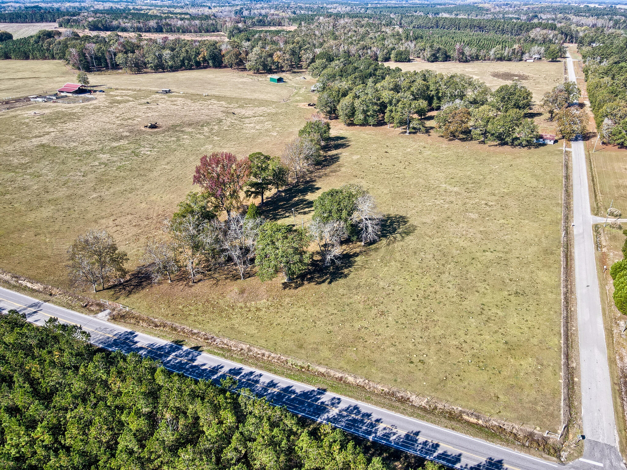 826 Binnicker Bridge Road Cope, SC 29038 - Photo 15 of 19