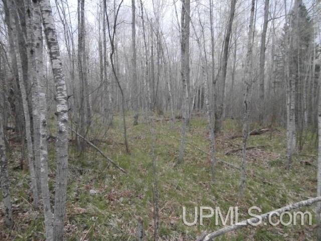 39.30-ac Armstrong Lake Road Crystal Falls, MI 49920 - Photo 13 of 24