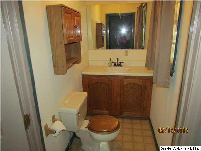 169 Landers Road Jacksonville, AL 36265 - Photo 22 of 30