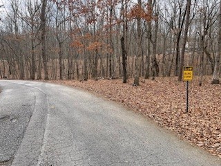 0 Cooley's Rift Boulevard Monteagle, TN 37356 - Photo 2 of 3 a road view with large trees