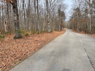 0 Cooley's Rift Boulevard Monteagle, TN 37356 - Photo 3 of 3 a backyard of a house with large trees