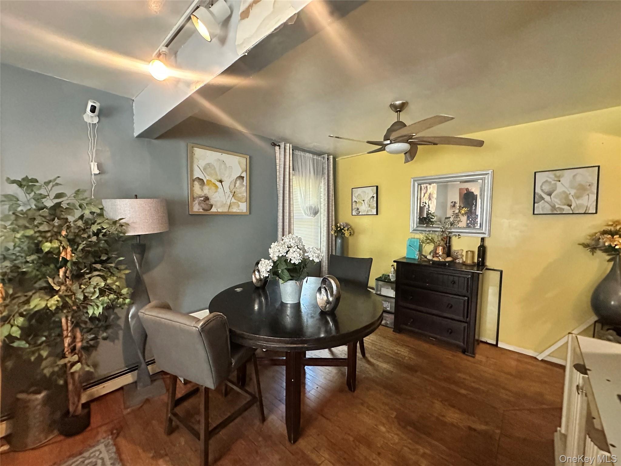 16 Spring Street Roosevelt, NY 11575 - Photo 13 of 19 a living room with furniture and a potted plant