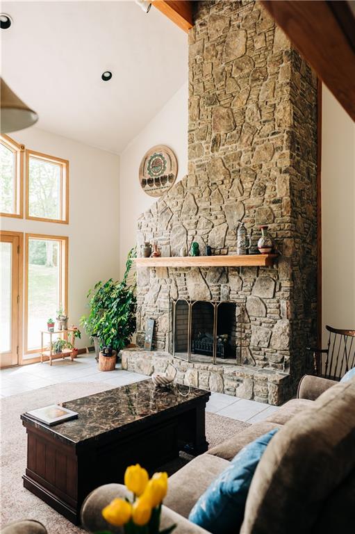 329 Breakiron Road Connellsville, PA 15425 - Photo 8 of 19 a living room with furniture a fireplace and a potted plant