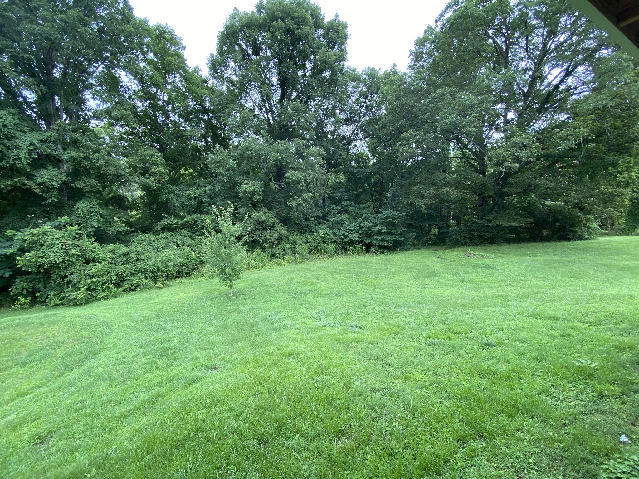 7106 Lake Road Northwest Fairview, TN 37062 - Photo 5 of 20 The backyard is very private