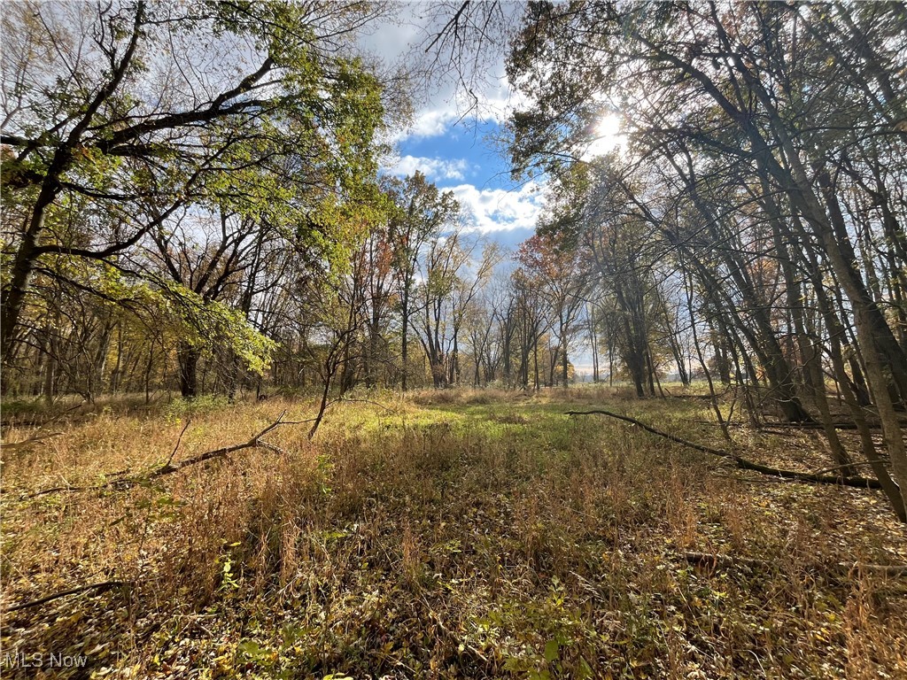 Prairie Lane Road Wooster, OH 44691 - Photo 15 of 28 View of woods