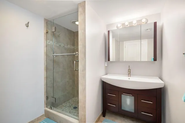 a bathroom with a sink a shower a mirror and a vanity