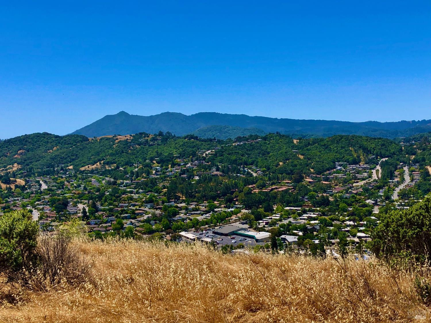 786 Bamboo Terrace San Rafael, CA 94903 - Photo 40 of 40