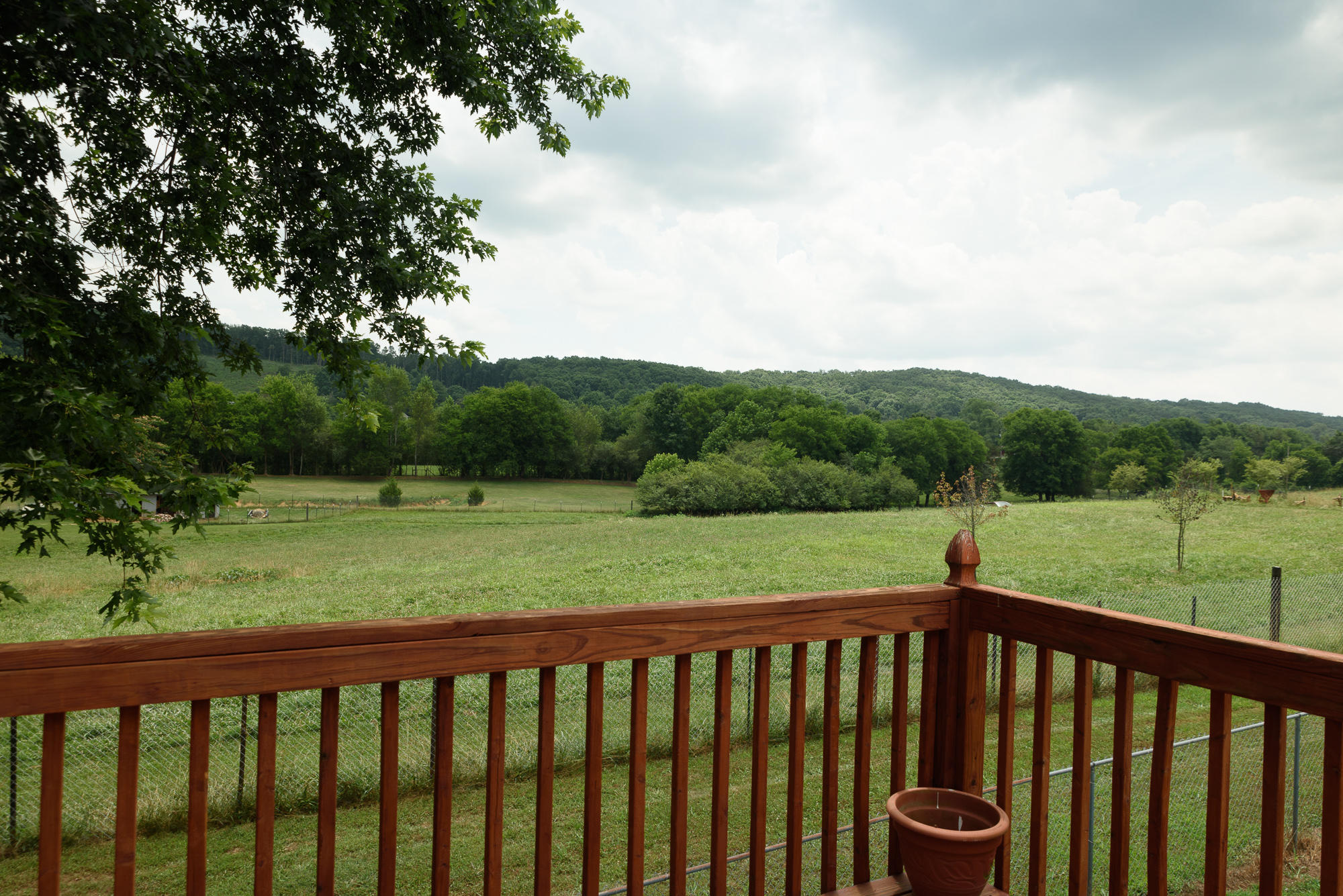 281 Waddell Road Cleveland, TN 37311 - Photo 4 of 37 xback_6