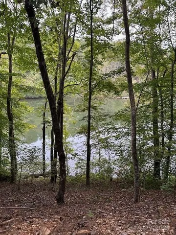 a view of outdoor space with lots of trees