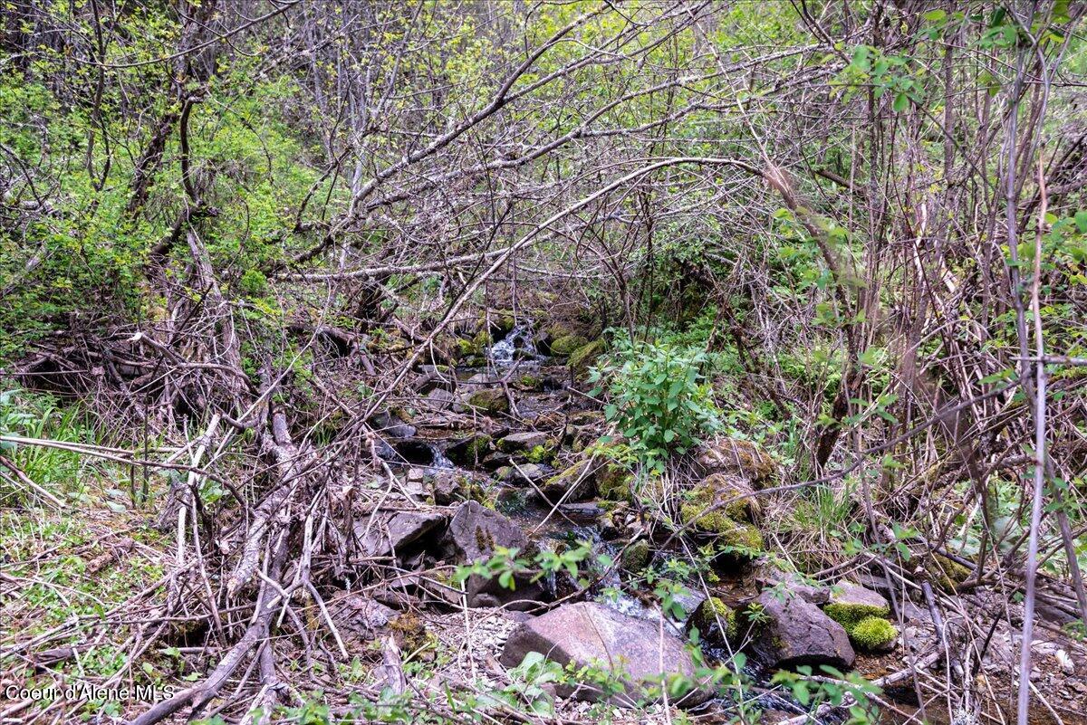 Nna North Corbin Hill Road Athol, ID 83801 - Photo 12 of 24 12-DSC_5608