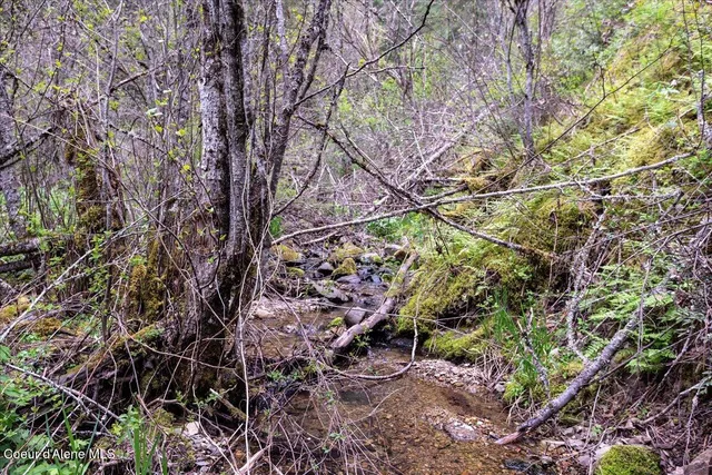 $270,000 | Nna North Corbin Hill Road, Athol, ID 83801