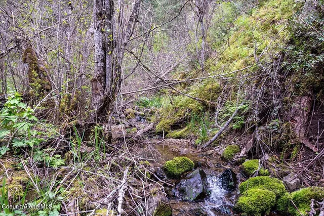 $270,000 | Nna North Corbin Hill Road, Athol, ID 83801