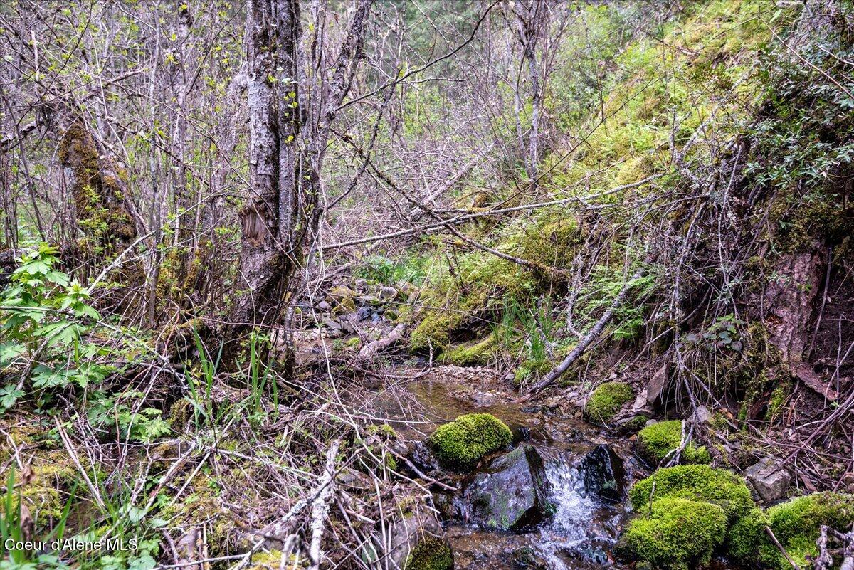 Nna North Corbin Hill Road Athol, ID 83801 - Photo 14 of 24 14-DSC_5612