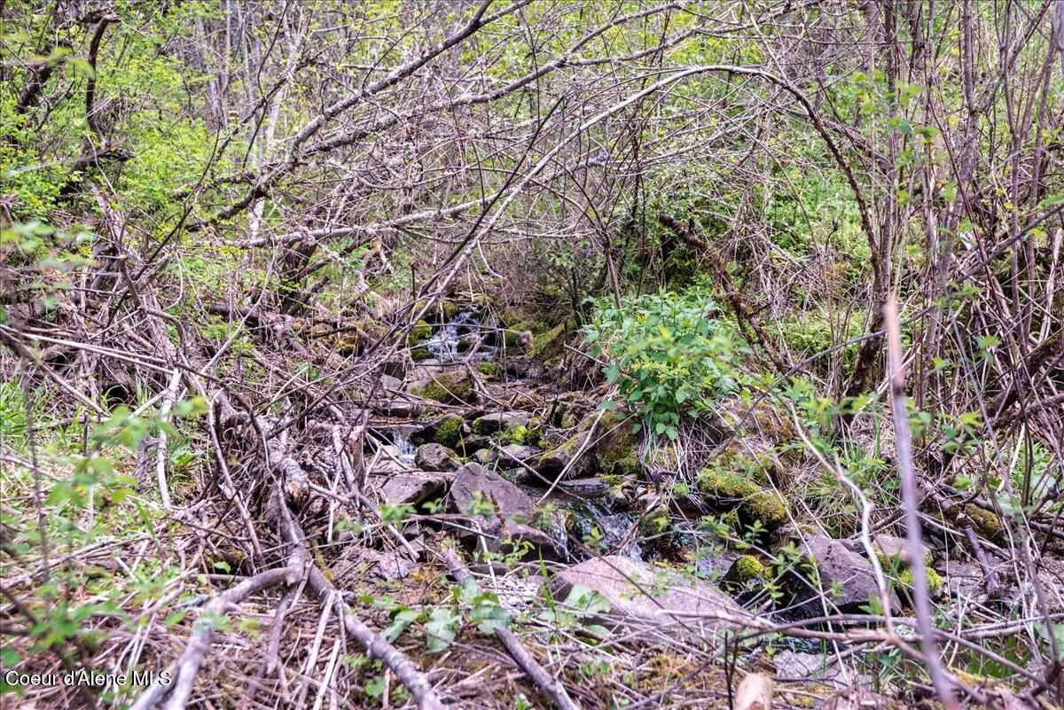 Nna North Corbin Hill Road Athol, ID 83801 - Photo 15 of 24 15-DSC_5616