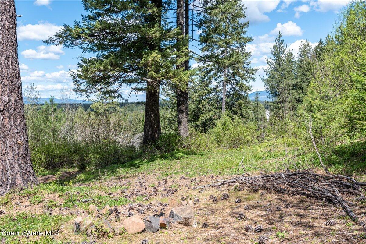 Nna North Corbin Hill Road Athol, ID 83801 - Photo 17 of 24 17-DSC_5618