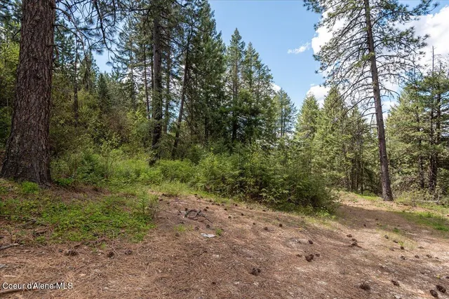 $270,000 | Nna North Corbin Hill Road, Athol, ID 83801