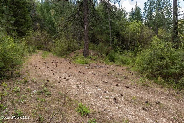 $270,000 | Nna North Corbin Hill Road, Athol, ID 83801