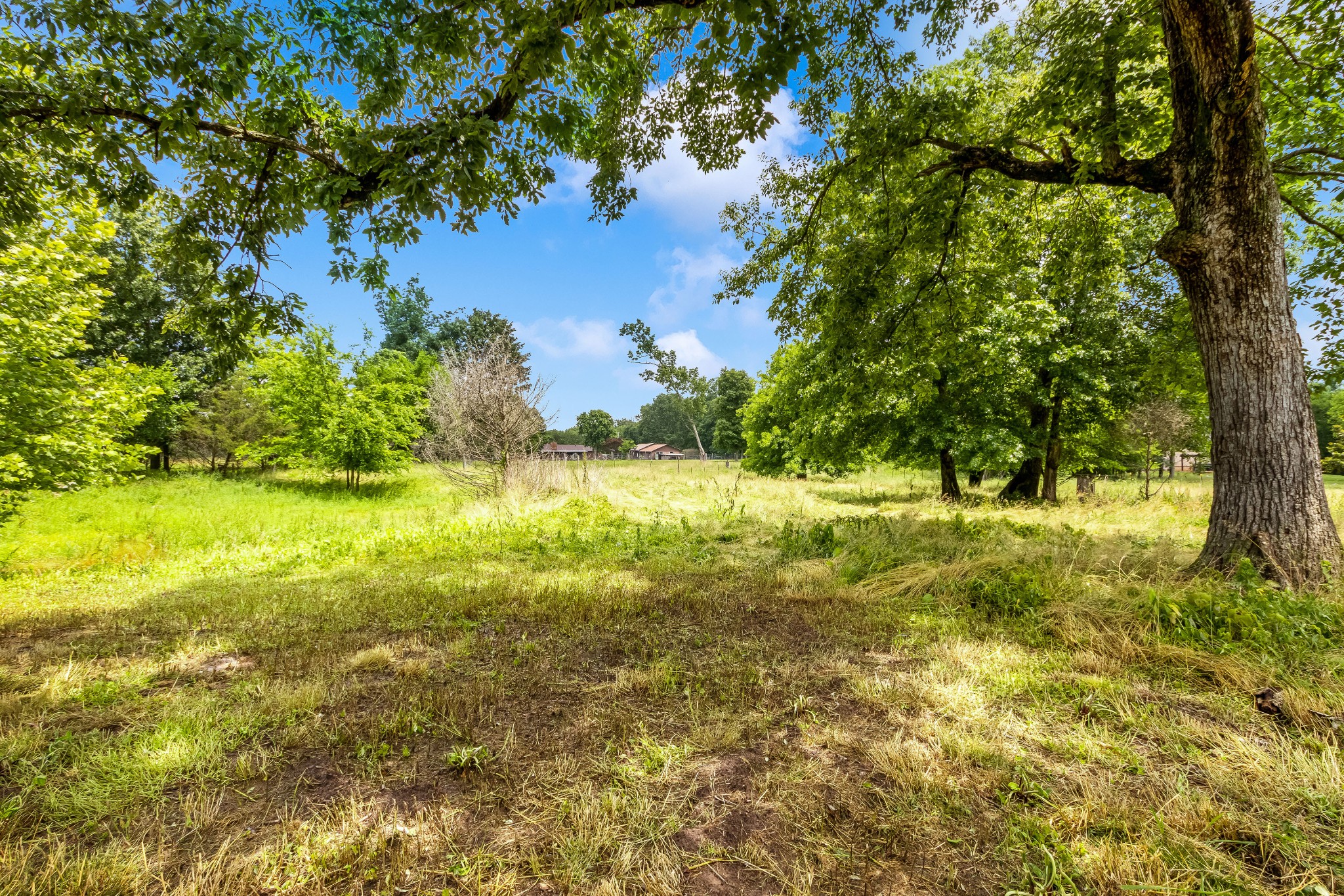 6463 Windrow Road Rockvale, TN 37153 - Photo 38 of 57 Gallery Image 38