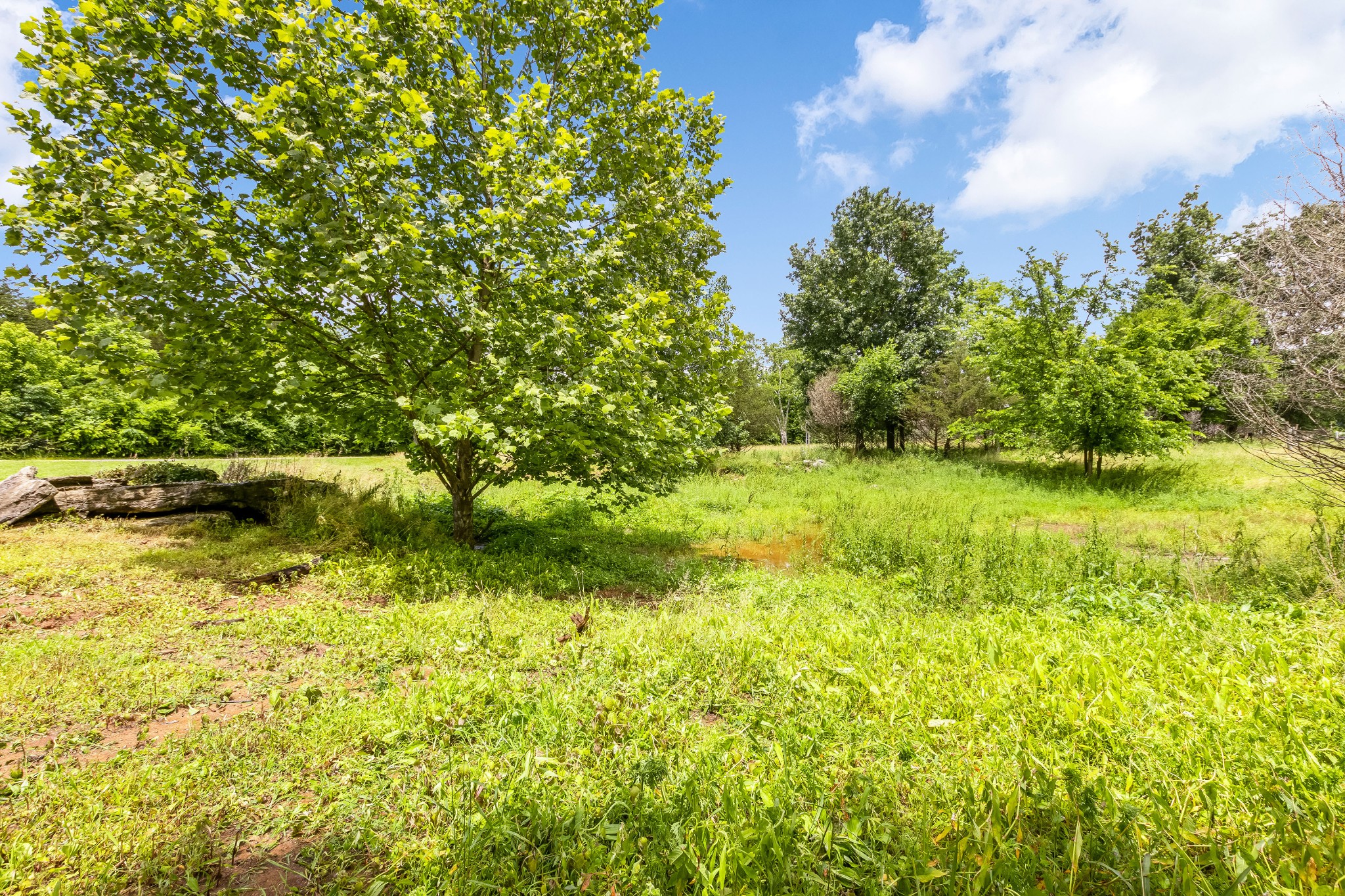 6463 Windrow Road Rockvale, TN 37153 - Photo 39 of 57 Gallery Image 39