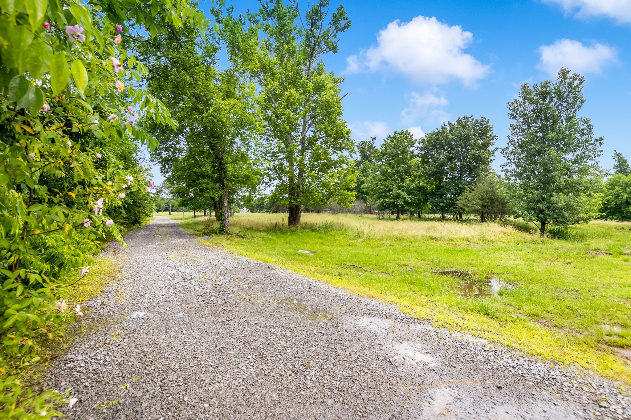 6463 Windrow Road Rockvale, TN 37153 - Photo 42 of 57 Gallery Image 42
