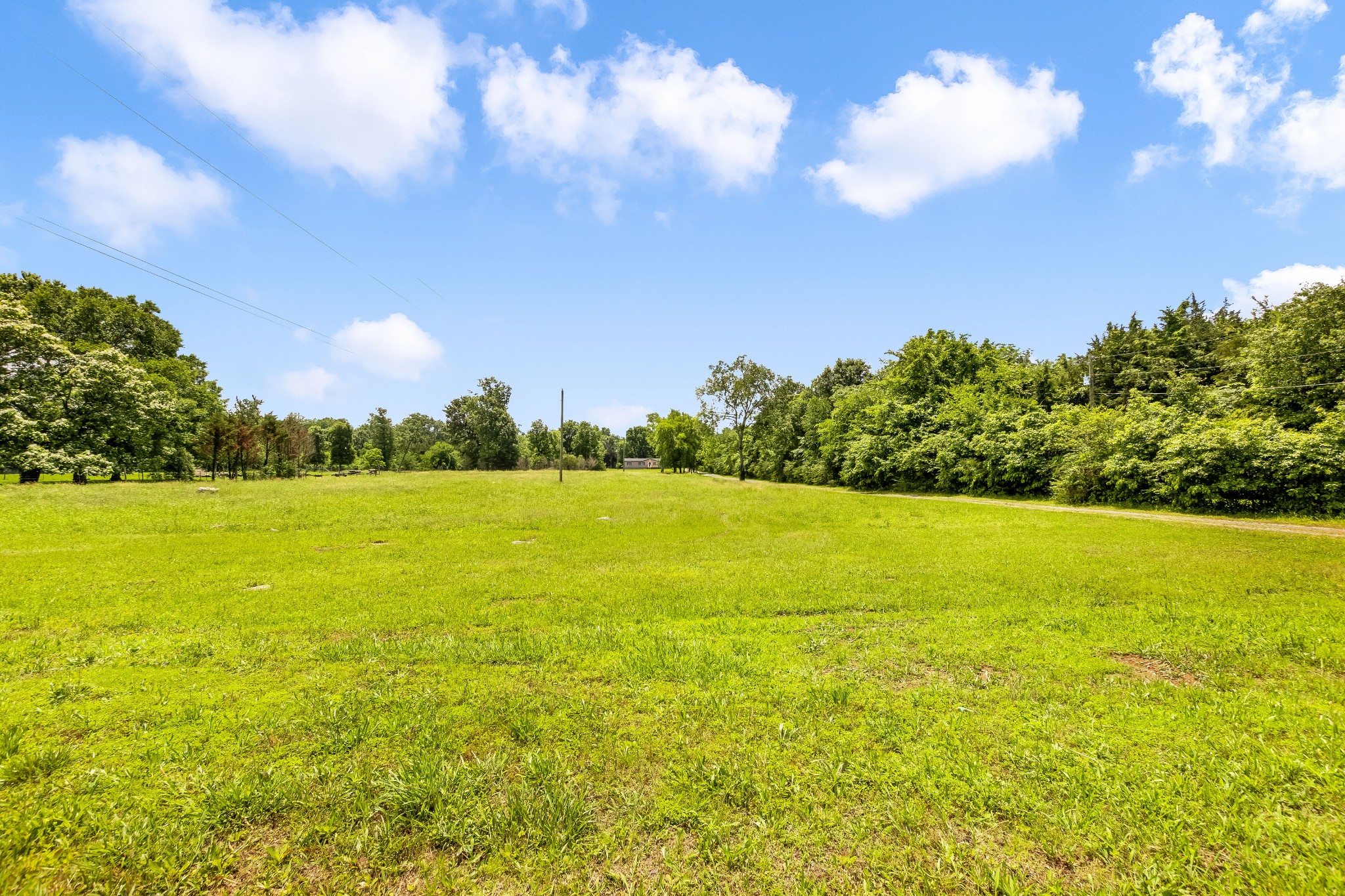 6463 Windrow Road Rockvale, TN 37153 - Photo 43 of 57 Gallery Image 43