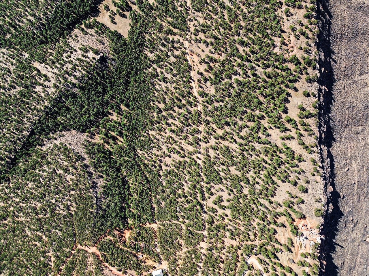 0 Rainbow Lane Berthoud, CO 80513 - Photo 13 of 14 a view of a tree