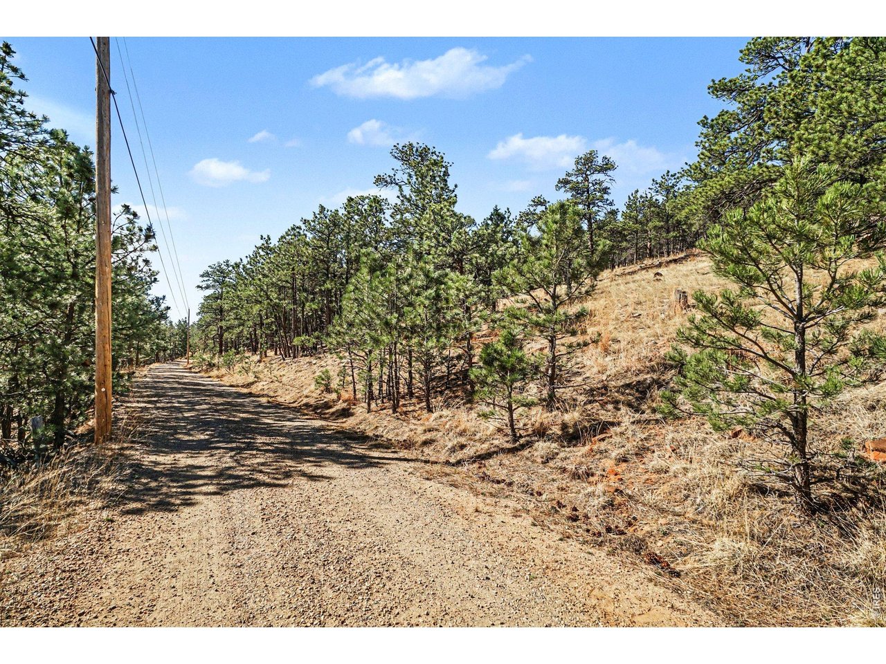 0 Rainbow Lane Berthoud, CO 80513 - Photo 6 of 14 a view of outdoor space and yard