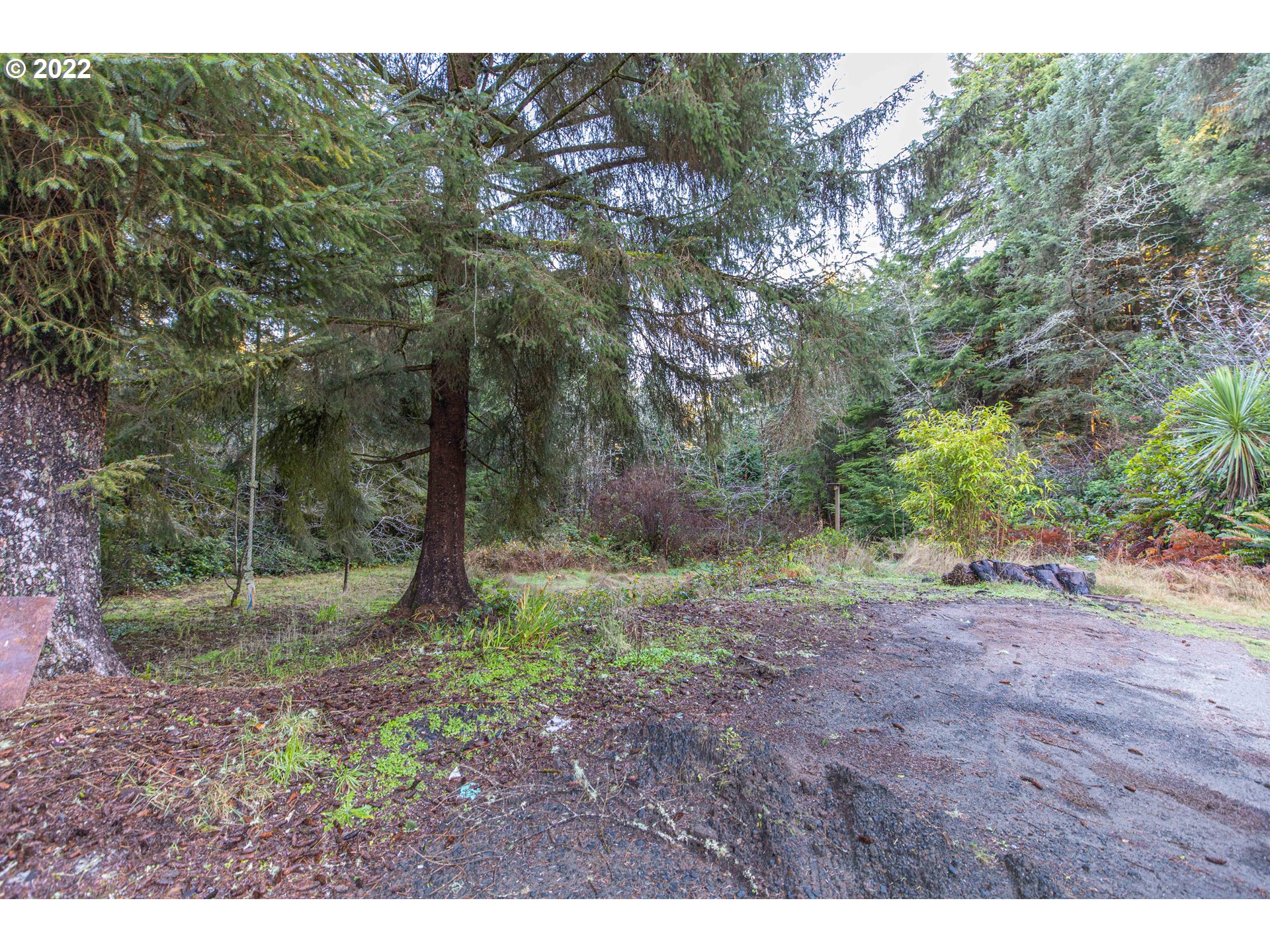 0 Crown Point Road, Unit 1000 Coos Bay, OR 97420 - Photo 8 of 10 a view of a forest