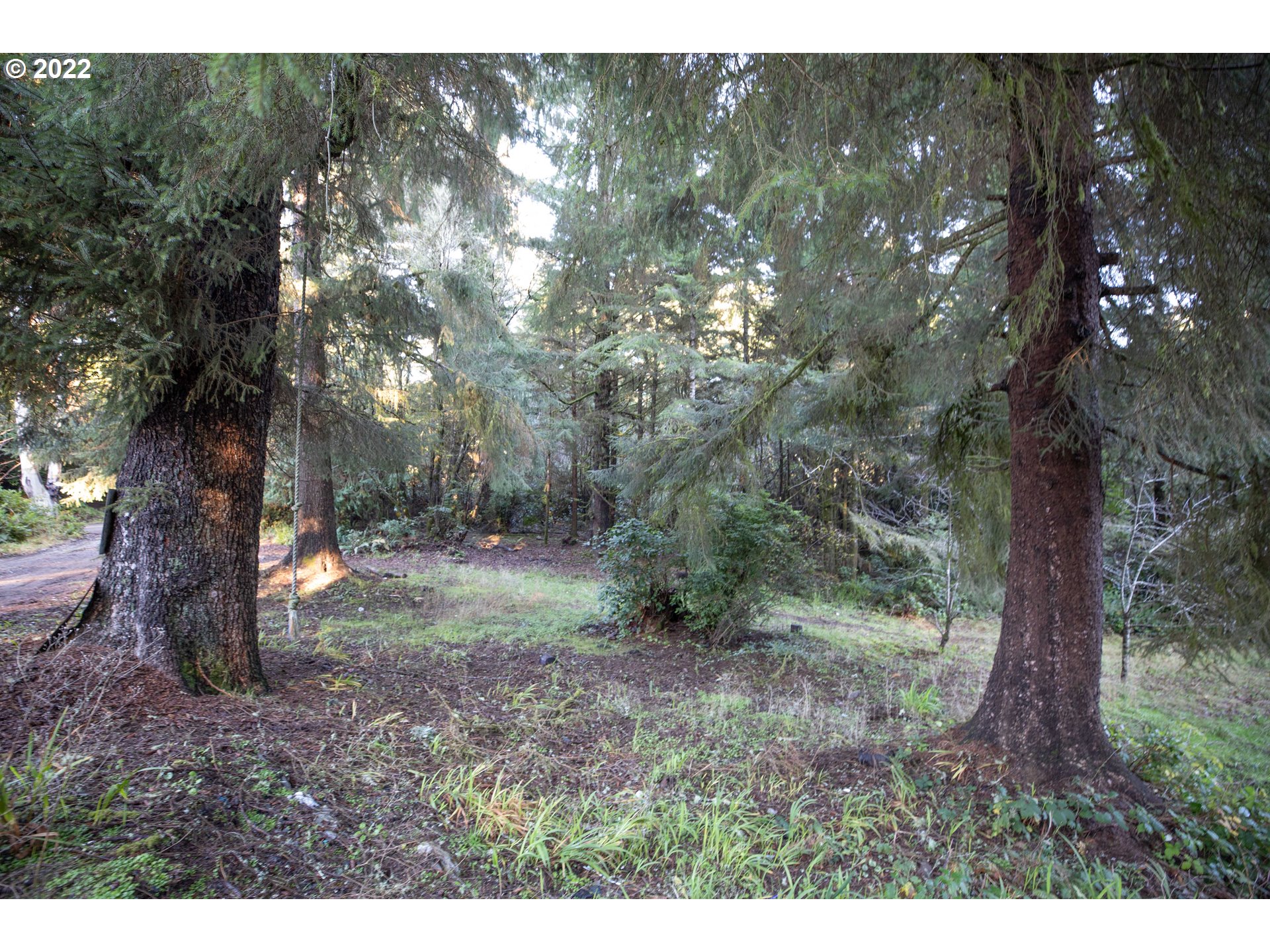 0 Crown Point Road, Unit 1000 Coos Bay, OR 97420 - Photo 10 of 10 a view of a forest filled with trees