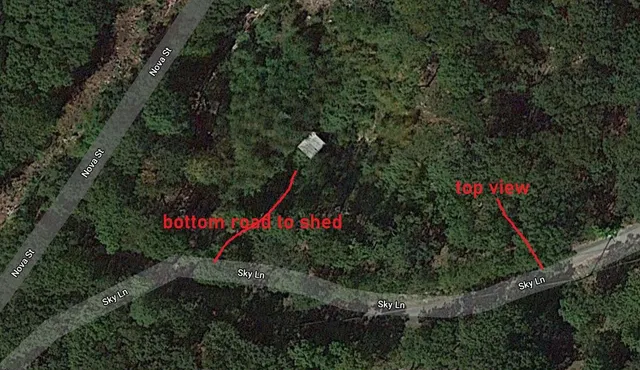 a view of a forest with trees