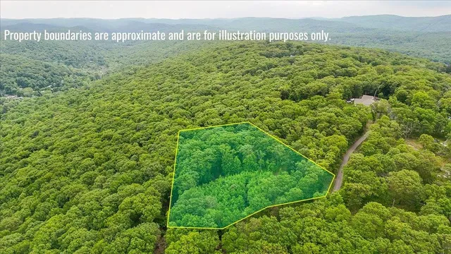 a big yard with lots of green space and deers