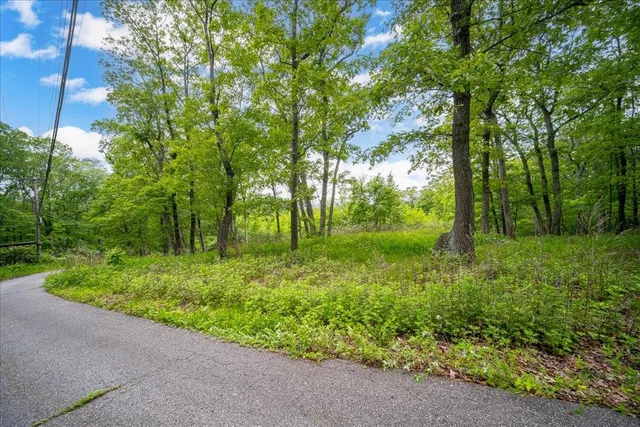 a view of backyard with green space