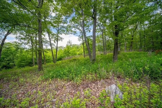 a view of backyard with green space