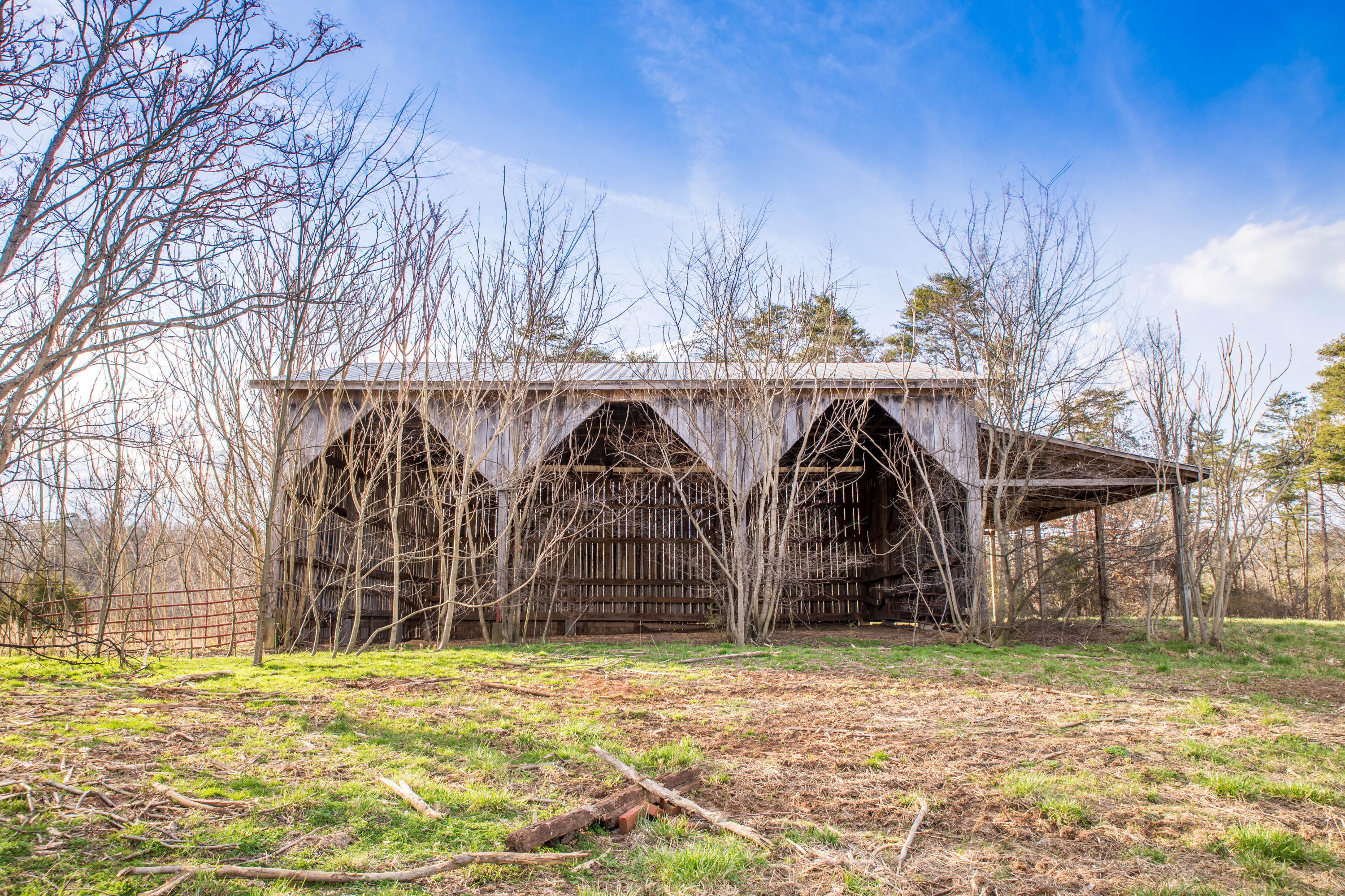 740 North Old Grey Ridge Road Friendsville, TN 37737 - Photo 15 of 16 IMG_8631-HDR