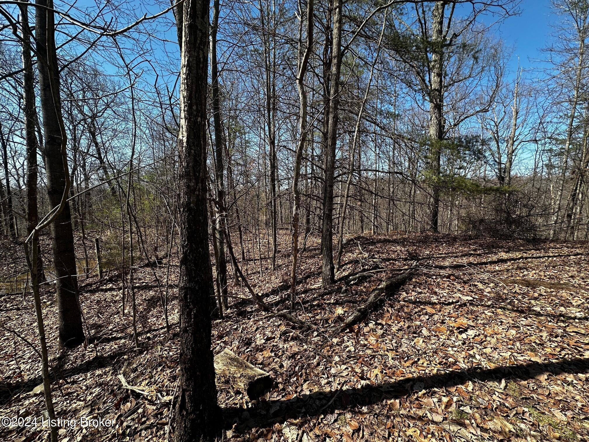 1854 Roe Hill Road Brooks, KY 40109 - Photo 25 of 27 0