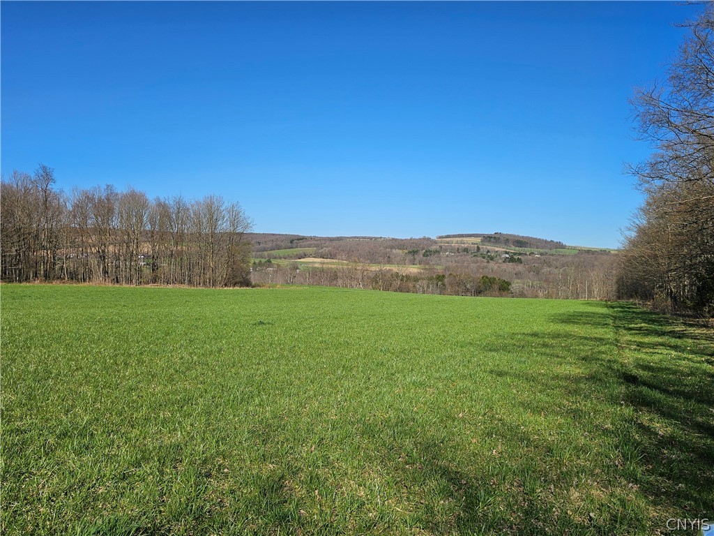 0 Lake Como Road Cortland, NY 13045 - Photo 1 of 1 Gallery Image 1
