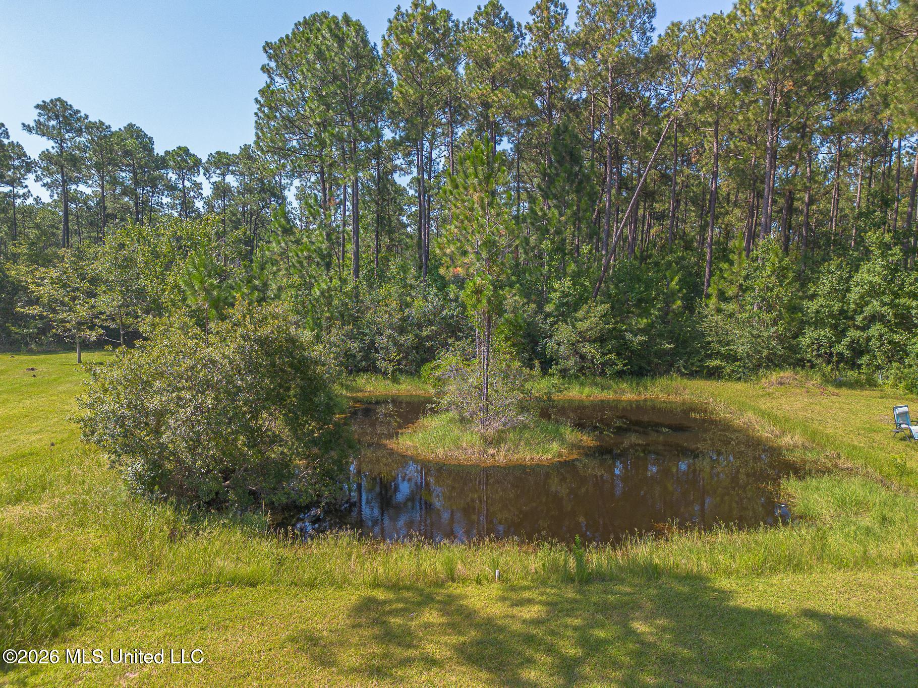 11801 Jim Ramsay Road Vancleave, MS 39565 - Photo 22 of 27 Pond