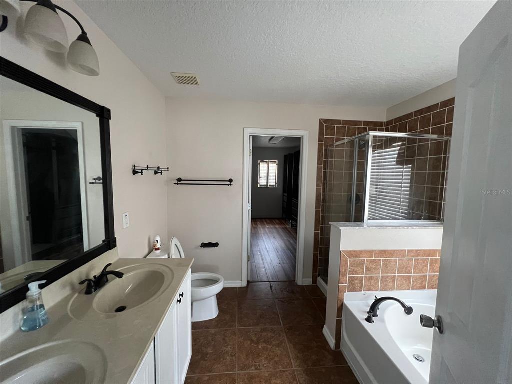 2570 Wild Tamarind Boulevard Orlando, FL 32828 - Photo 15 of 20 a bathroom with a tub sink and mirror