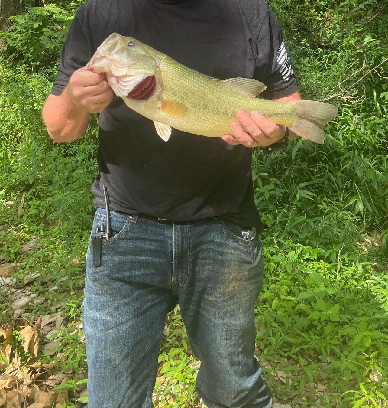 0 North Hogan Road Aurora, IN 47001 - Photo 13 of 34