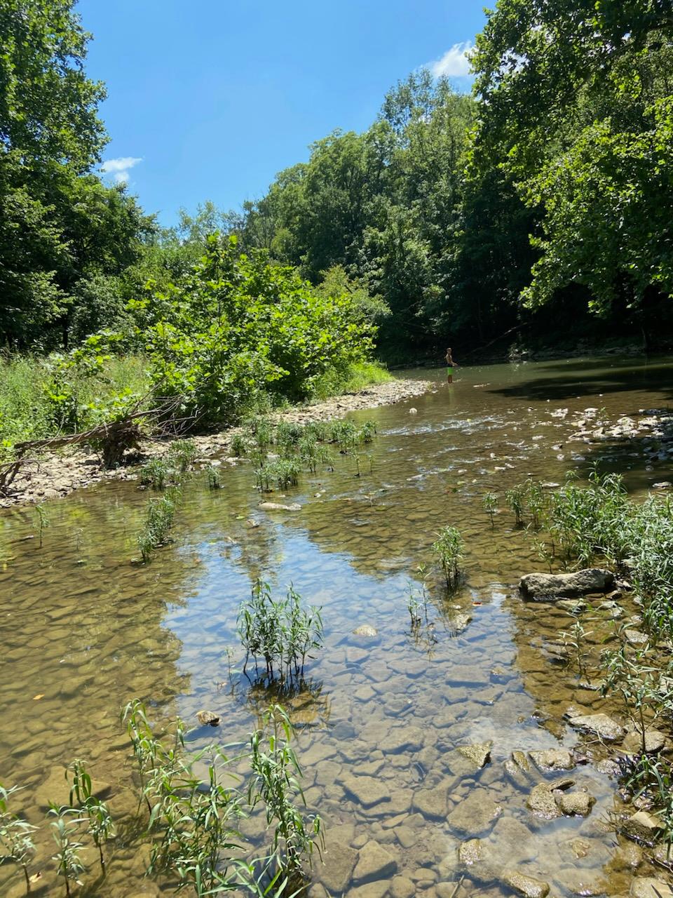 0 North Hogan Road Aurora, IN 47001 - Photo 14 of 34