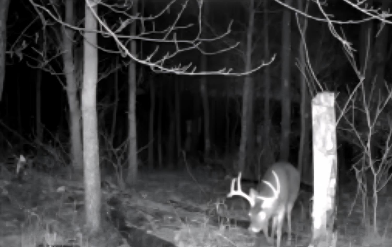 0 North Hogan Road Aurora, IN 47001 - Photo 20 of 34