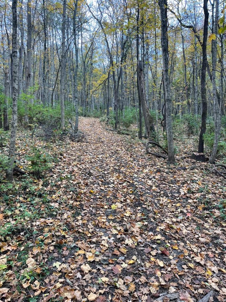 0 North Hogan Road Aurora, IN 47001 - Photo 29 of 34