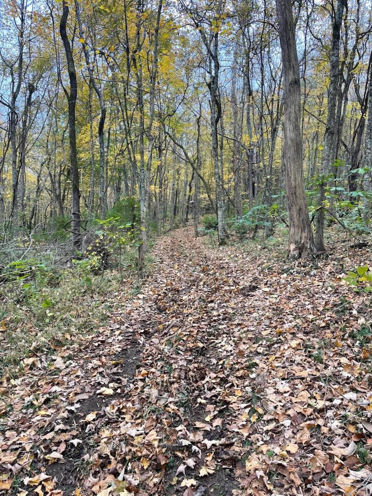 0 North Hogan Road Aurora, IN 47001 - Photo 30 of 34