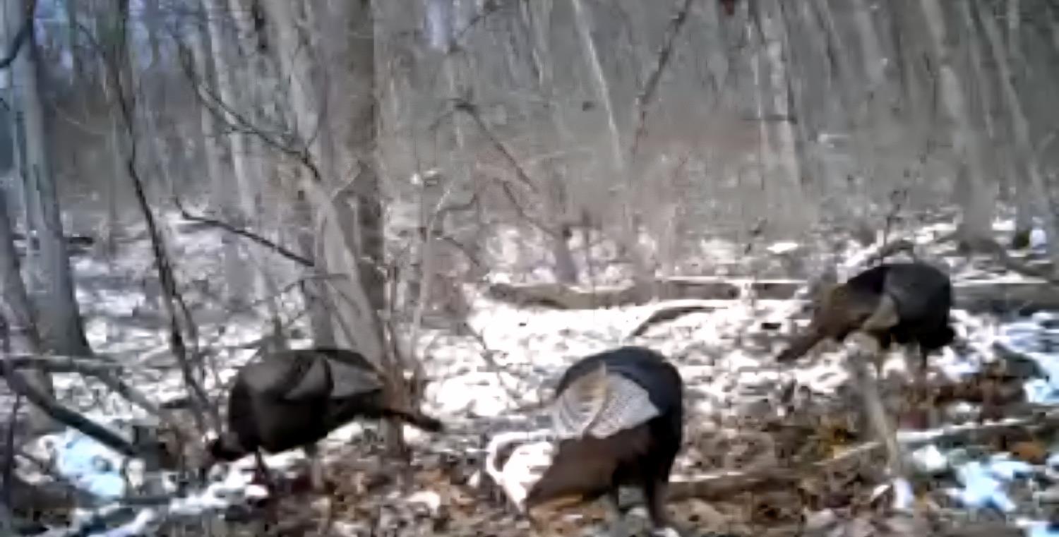 0 North Hogan Road Aurora, IN 47001 - Photo 3 of 34